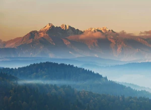 Czy lepiej Oddać elektrośmiecie w Szczecinie w dzień czy w nocy?