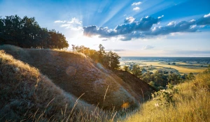 kupić kwiaty? Dokładnie!