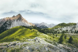 Cała Prawda O Tym Jak kupić paracord 5mm (a Której Sprzedawcy Ci Nie Powiedzą)