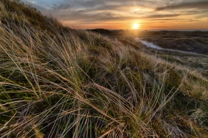 2023 dobrym czasem aby  kupić para cord