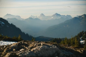 Ciekawe kto może kupić para cord?